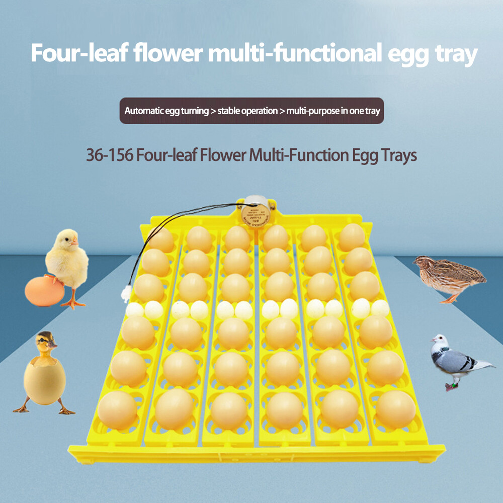 Máy ấp trứng 36 quả nhỏ tự động aideepen chính hãng khay trứng 156 cho chim khay quay trứng có động cơ