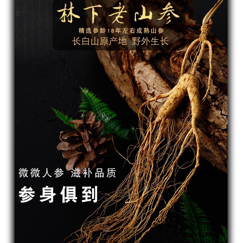 Nhân sâm thật đặc sản đông bắc bán sỉ nhân sâm khô núi trường bạch nhân sâm hoang dã dược liệu ủ 20 nhân sâm rừng