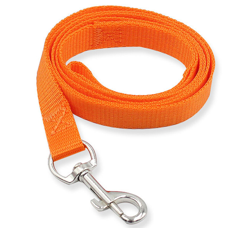 long nylon dog leash