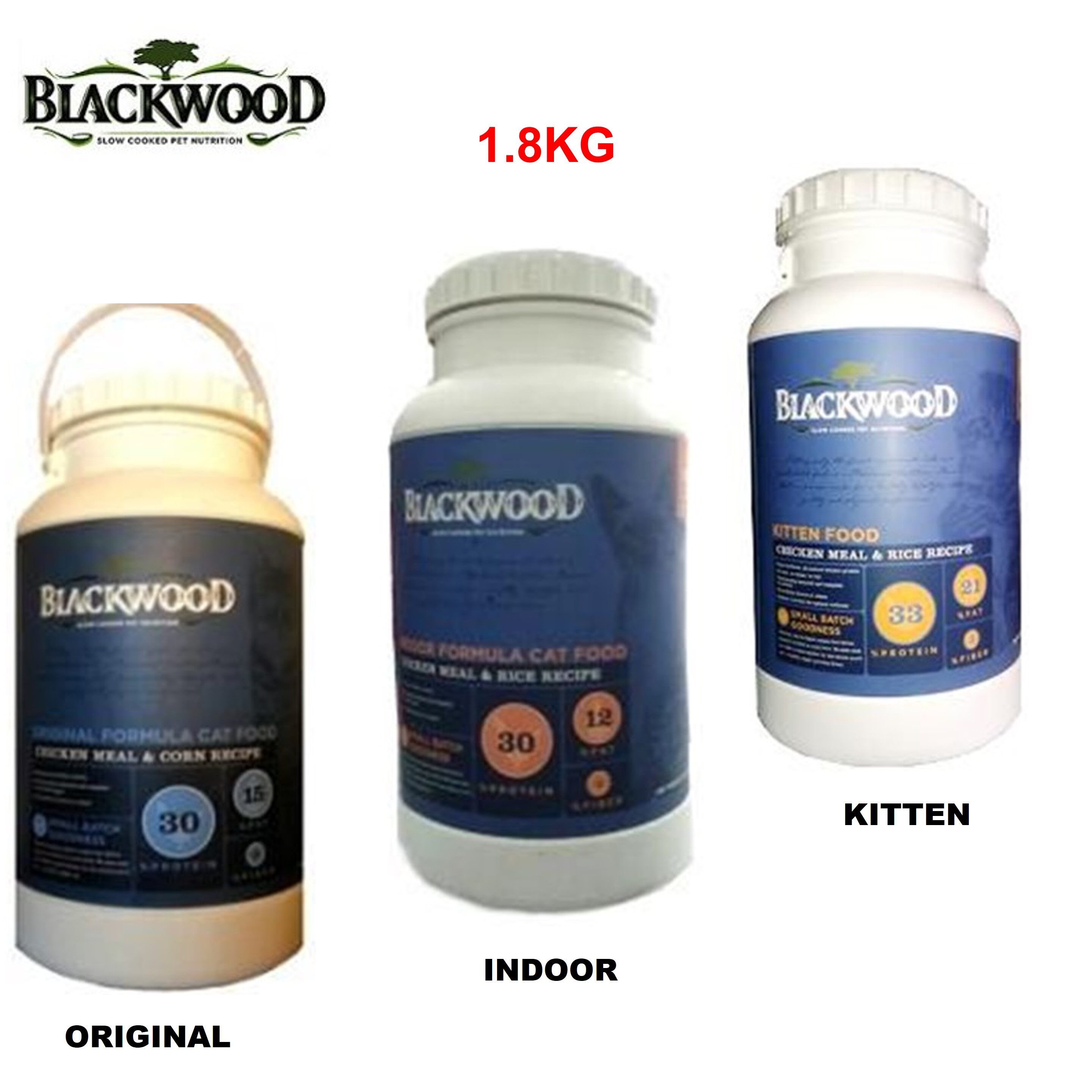 blackwood kitten