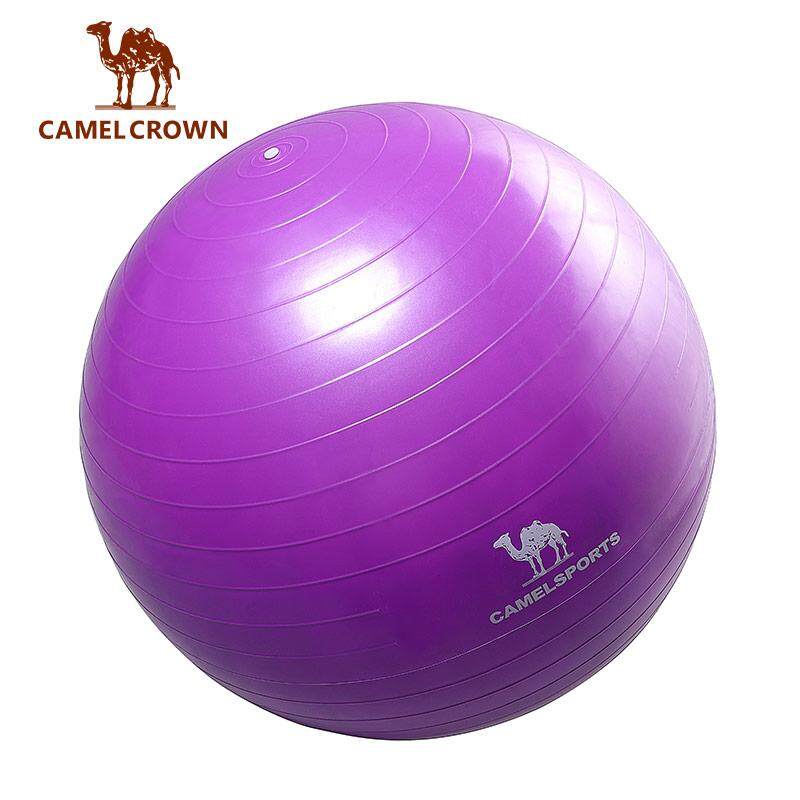 Camelcrown โยคะบอลออกกำลังกายบอลลดน้ำหนักสมดุลยืดกีฬาบอลสี่ขนาด 75 เซนติเมตร 65 เซนติเมตร 55 เซนติเมตร 30 เซนติเมตร