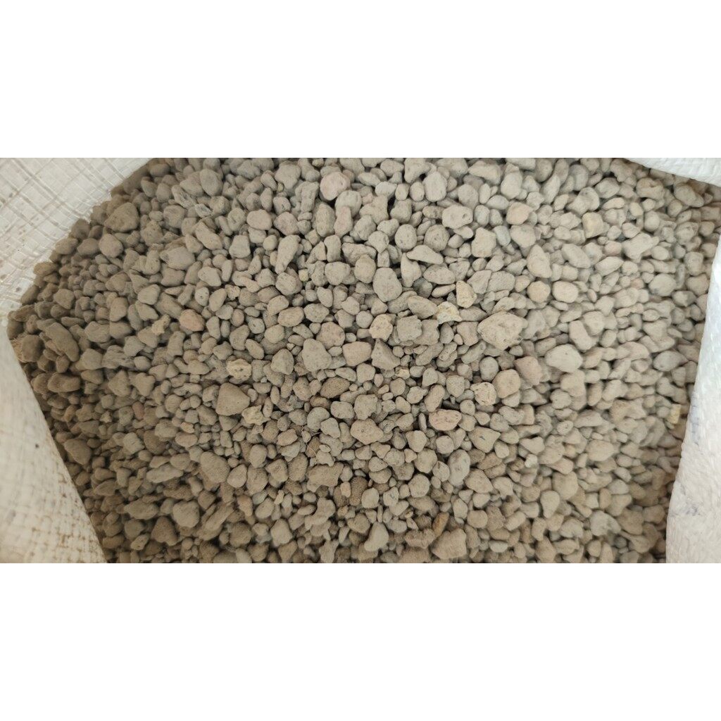 Đá Pumice trồng sen đá, xương rồng, ươm cây con