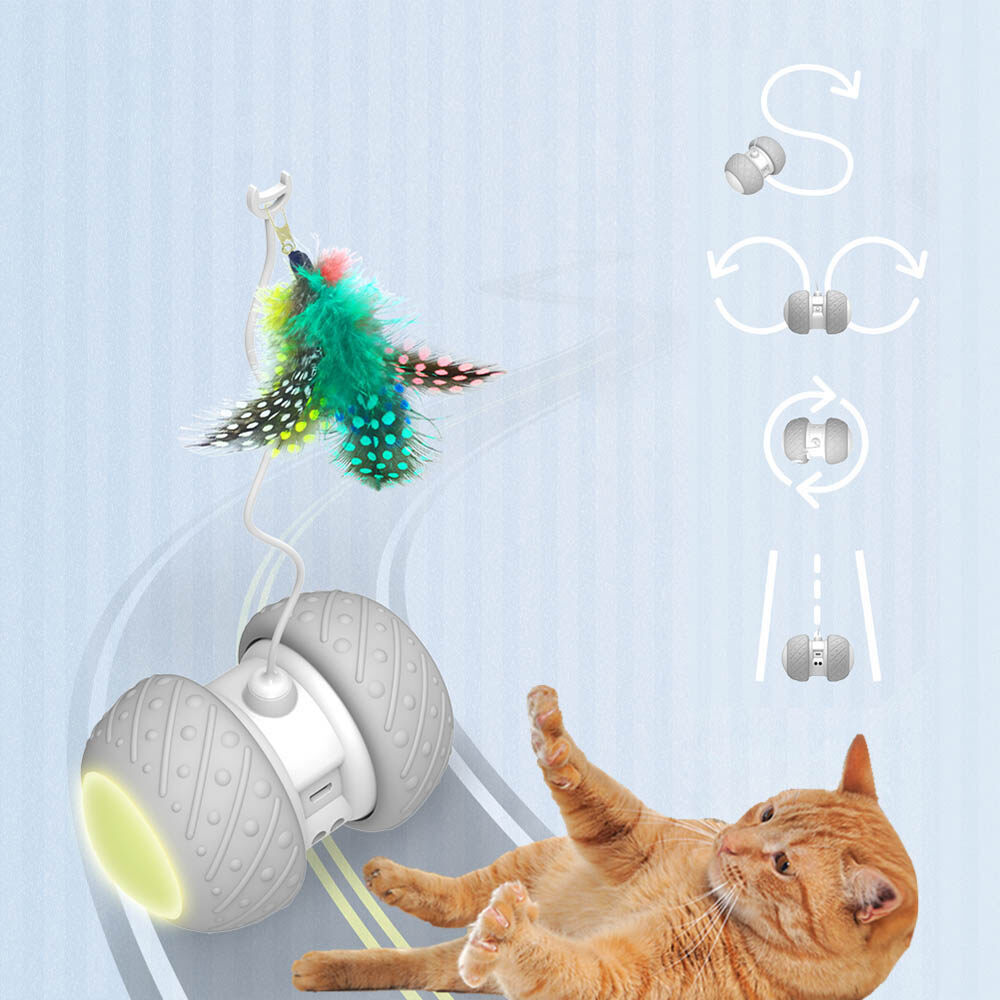 cat toys for intelligent cats