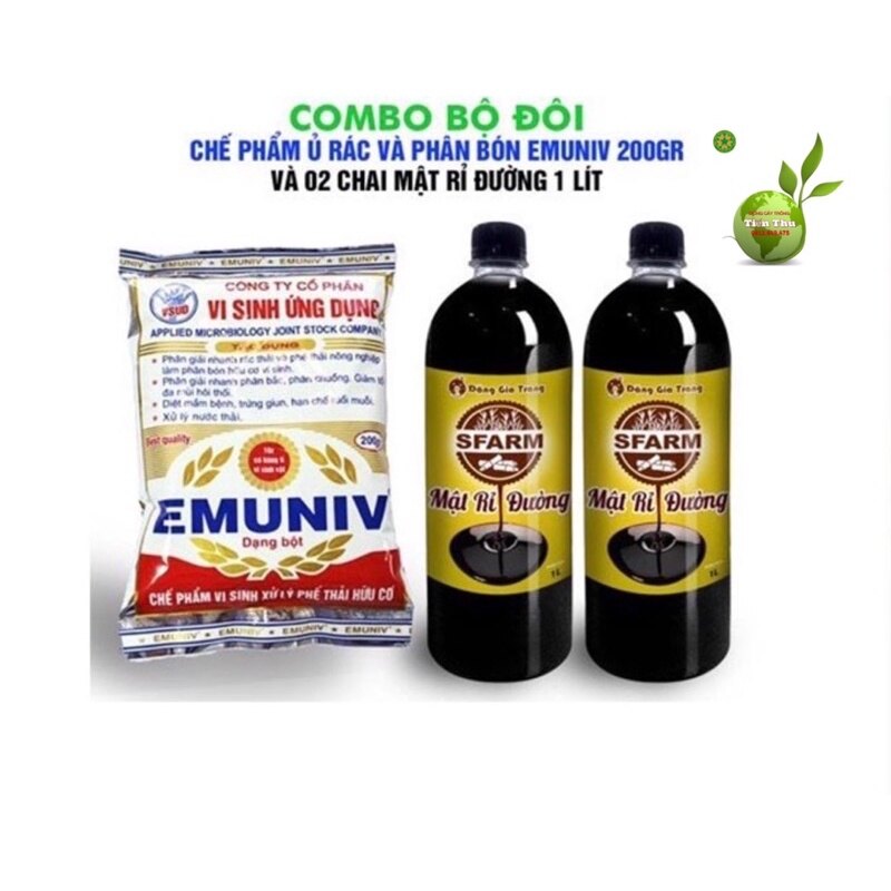 Combo-chế phẩm vi sinh emuniv và mật rỉ đường ủ phân và xử lý rác thải hữu cơ
