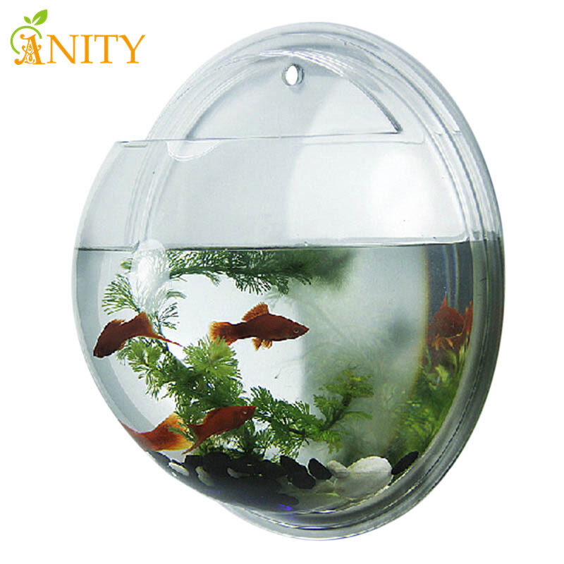 Anity bát trong suốt chậu acrylic trong suốt bình treo cây treo tường trang trí nhà cửa bể cá bể cá