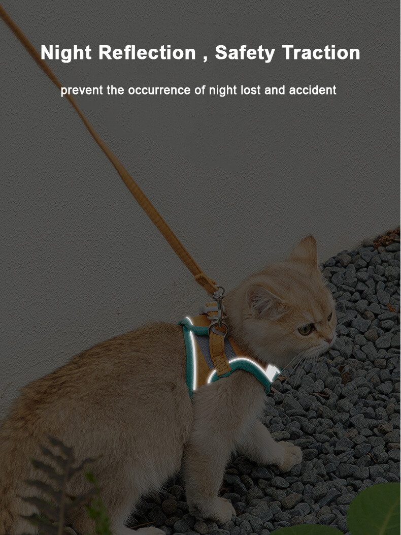 petlifeland áo dây xích thú cưng phản quang bằng da lộn mới, dây nịt ngực với vòng cổ dây kéo 1.5m cho chó mèo phụ kiện 4