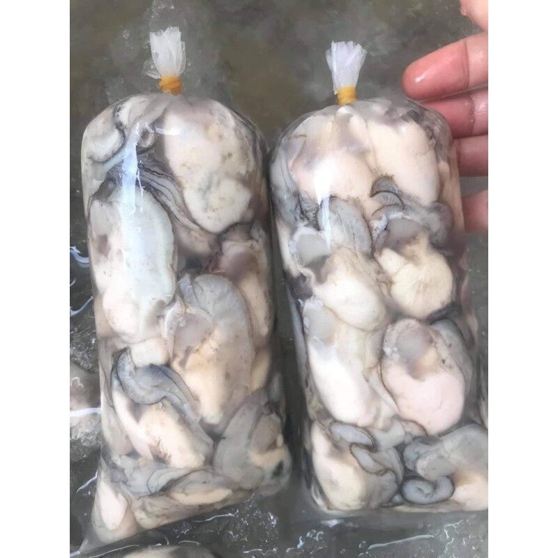 Hào sữa tách vỏ 500g