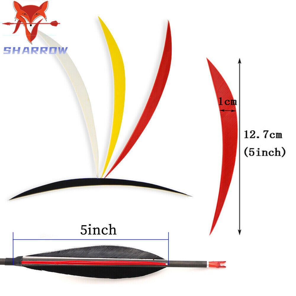 50 sản phẩm bắn mục tiêu lông gà tây tự nhiên rw thân mũi tên tự làm