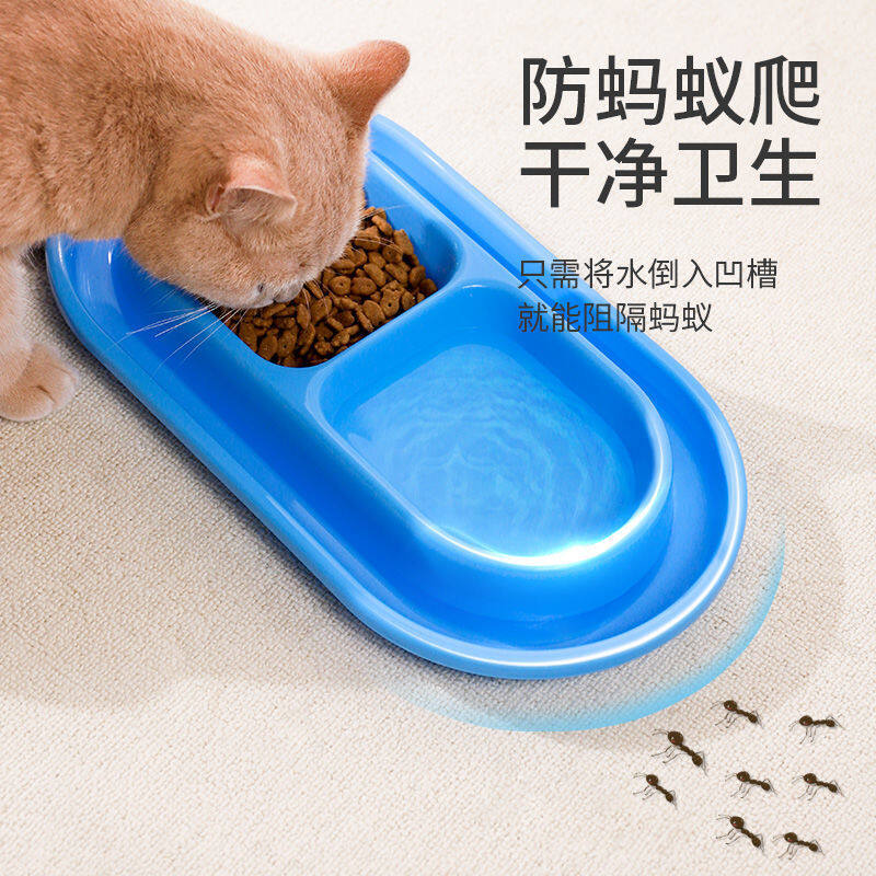 Kiến bằng chứng bát cho mèo chống côn trùng Hoang Dã máy cho Mèo Ăn bát