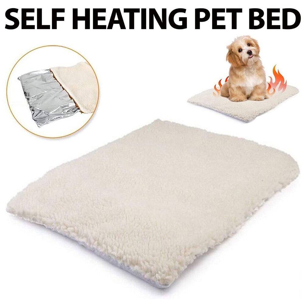 heated mats for dogs