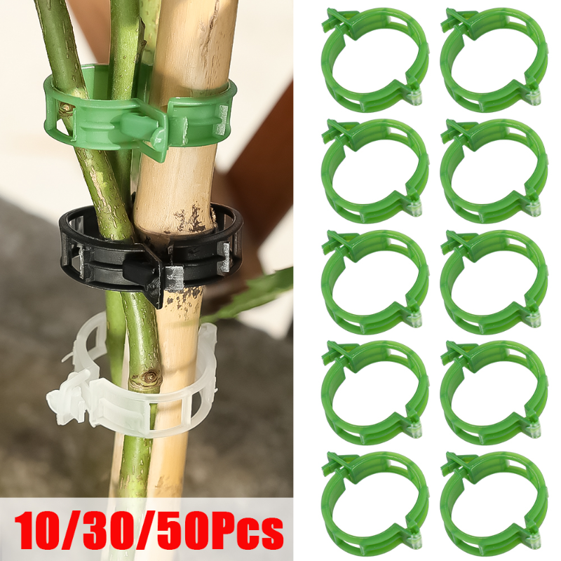 10/30/50 cái Nẹp đỡ cây bằng nhựa tái sử dụng cây nho bảo vệ ghép dụng cụ sửa chữa cho rau nho phụ kiện sân vườn