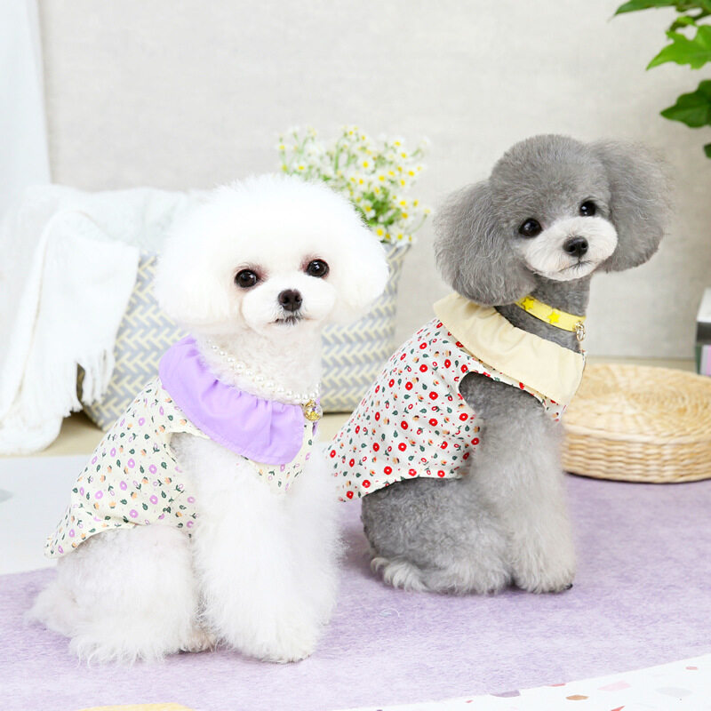 DY Loving Áo Sơ Mi Cho Chó Hàn Quốc Đầm Mèo Simon Áo Khoác Len Hoa Ve Áo Áo Áo Thun Poodle Mỏng Dịu Dàng Quý Cô Trang Phục Thú Cưng Mùa Hè Tươi Mới