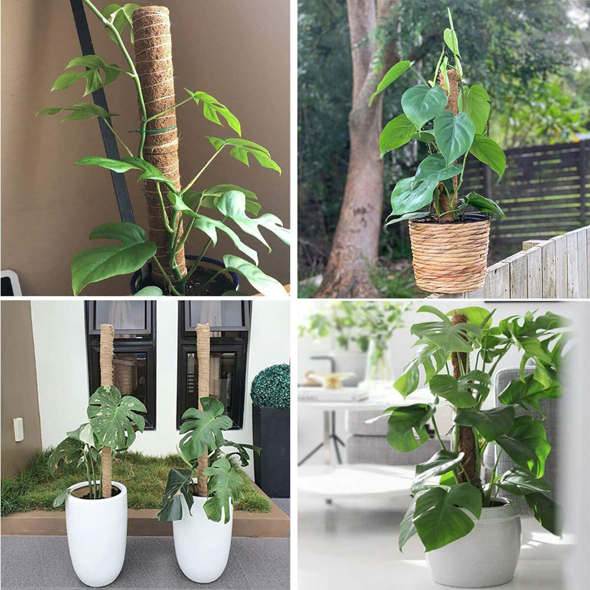 Generic 4 Pack Coir Totem Pole Plant Coir Stick Totem Pole For