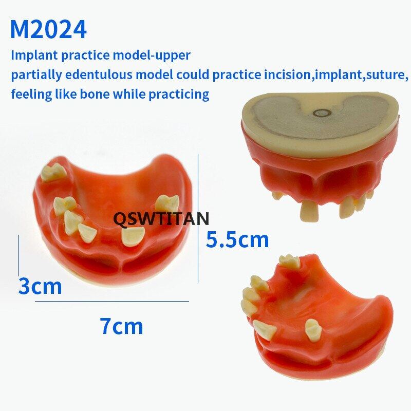 Jiayi Dental Teaching Model Sinus Lift Practice Teeth Model Typodont Study
