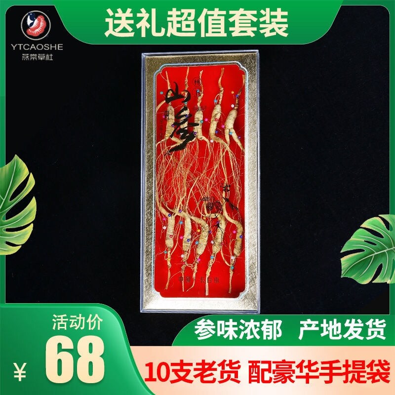 Sâm rừng núi trường bạch hộp quà tặng sâm rừng hoang dã súp đặc sản đông bắc sâm khô sâm rừng