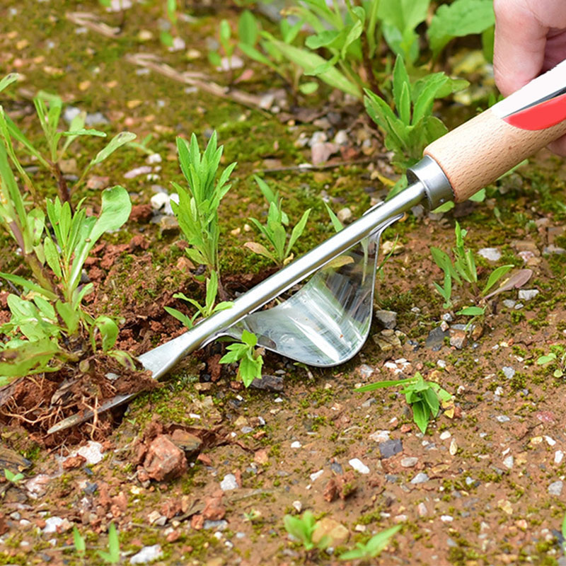 Weeder ngã ba làm cỏ remover lawn vườn làm cỏ công cụ ghép làm vườn dụng cụ bonsai