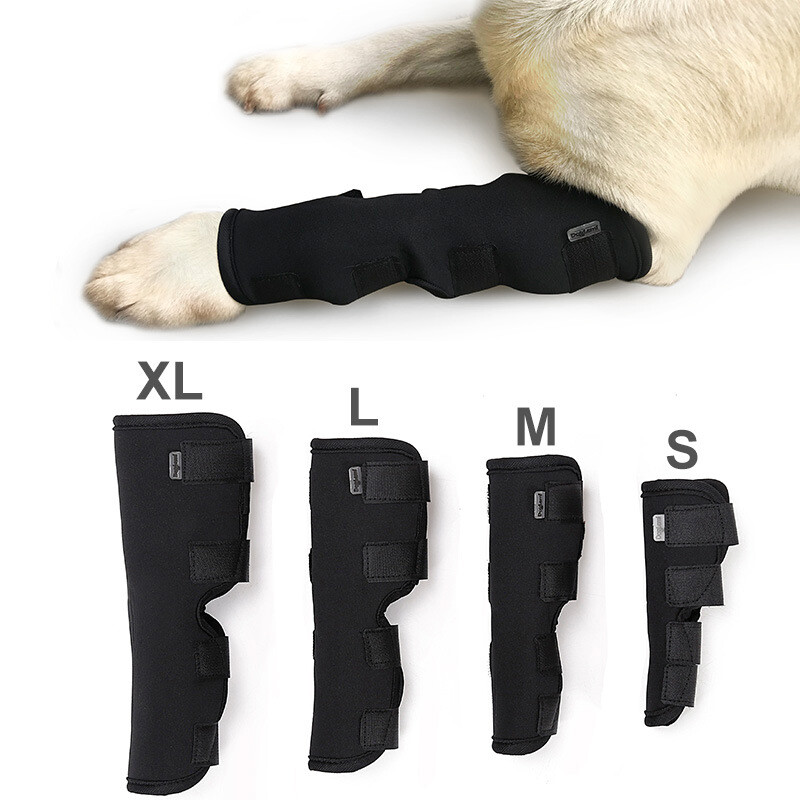 DY Loving 1 Cặp Nẹp Cho Thú Cưng Miếng Đệm Đầu Gối Cho Chân Bọc Khớp Hock Thoáng Khí Phục Hồi Chấn Thương Chân Con Chó Bảo Vệ, Đai Quấn Quần Legging Hỗ Trợ Cho Chó
