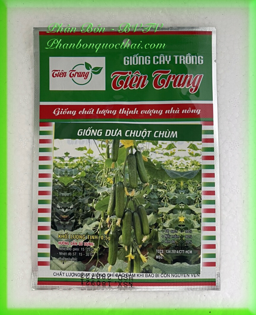 Hạt giống dưa chuột chùm siêu quả