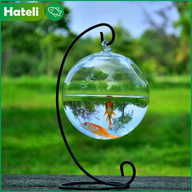 Shop Fish Bowl Glass Big Online | Lazada.Com.Ph