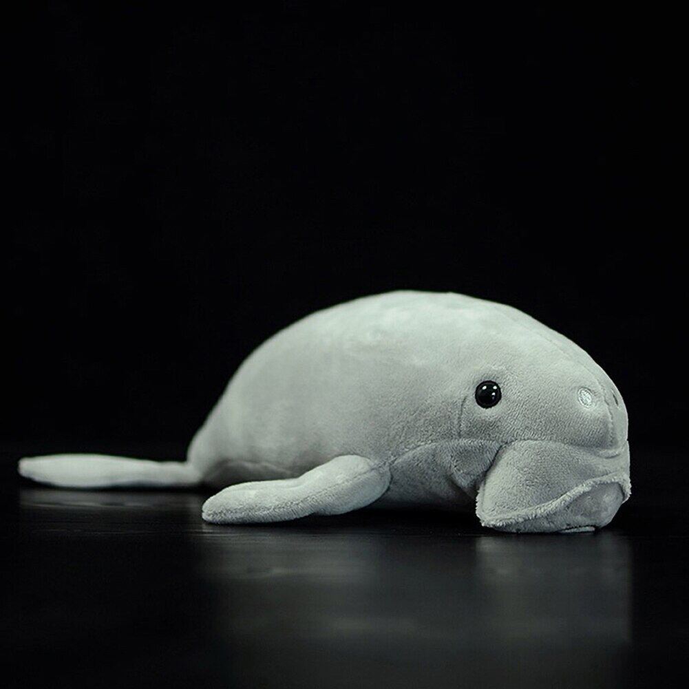 manatee teddy