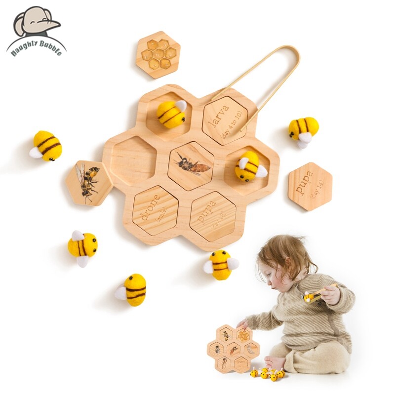 Ong Mật tăng trưởng chu kỳ nhận thức thẻ bằng gỗ tổ ong ong lấy đồ chơi