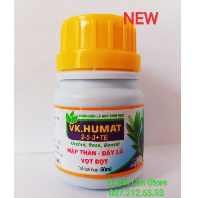 Vk.humat - mập thân, dày lá, vọt đọt