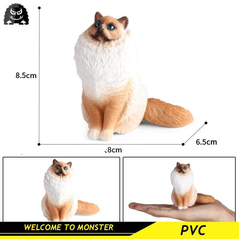 Mô hình mèo động vật rắn mô phỏng mèo ragdoll thú cưng mèo đồ chơi cầm tay cho trẻ em đồ trang trí trong nhà