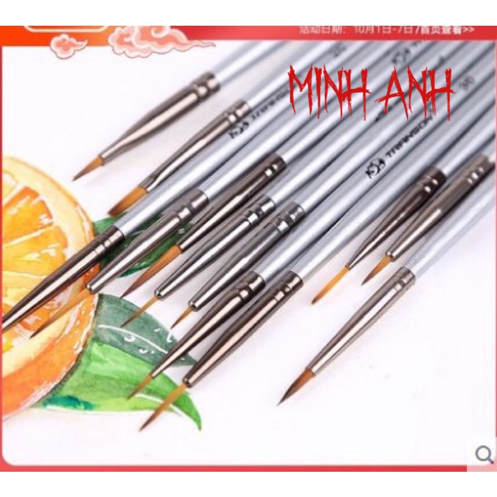 Bộ cọ đi nét siêu nhỏ cao cấp 12 cây/ bộ hãng Transon