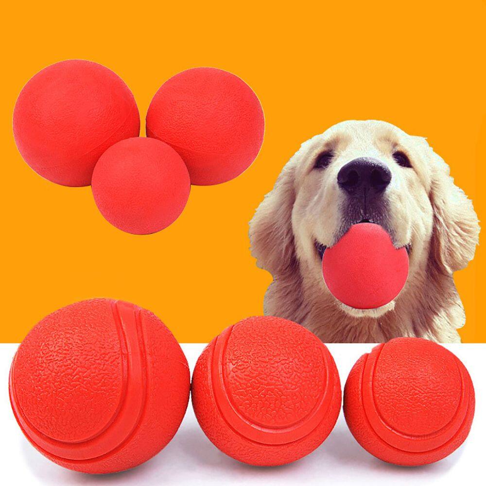 big bouncy ball for dogs