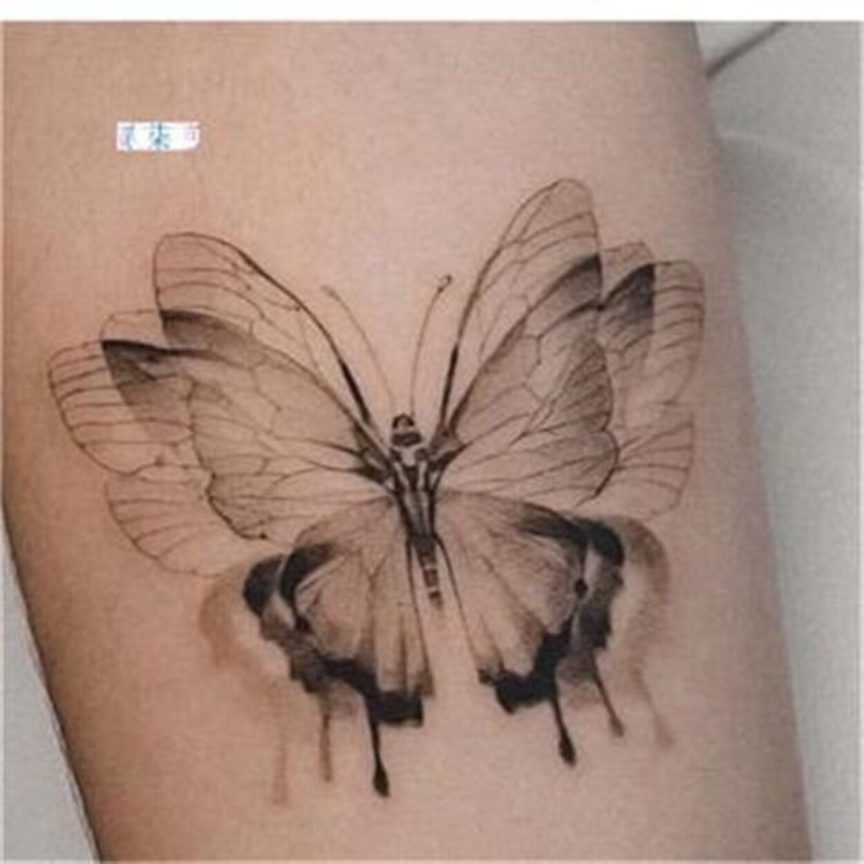 Nevertheless và ý nghĩa hình xăm bươm bướm của badboy Park Jaeeon  TRẦN  HƯNG ĐẠO