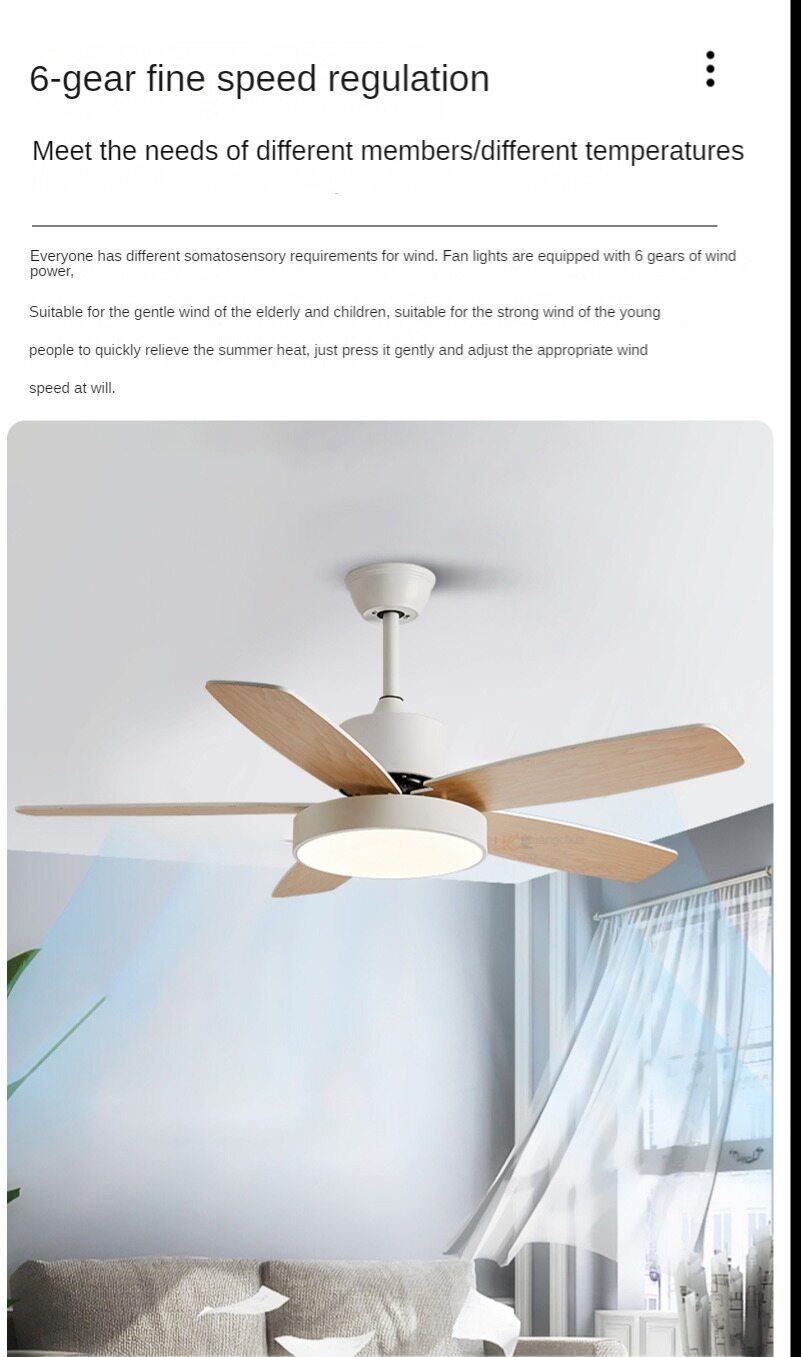 CT1415 details_08. JPG