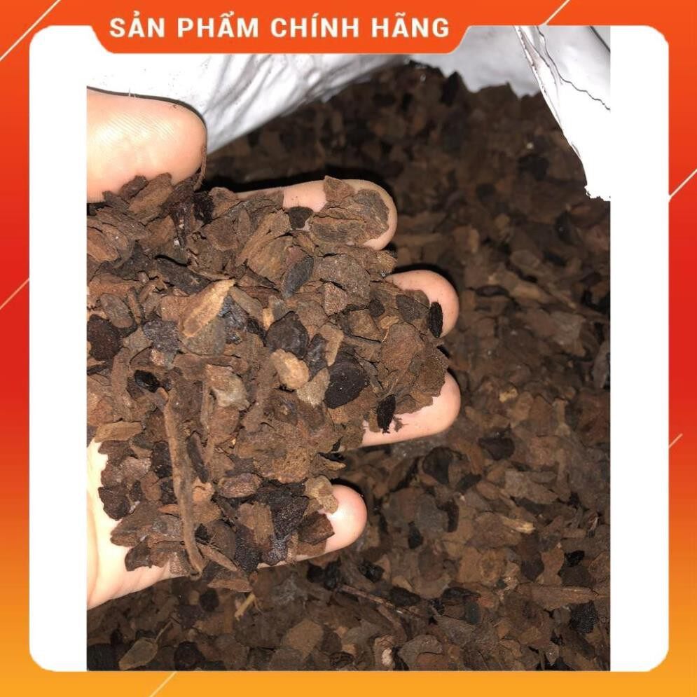 1kg vỏ thông Orchiata New Zealand size 6-9mm.