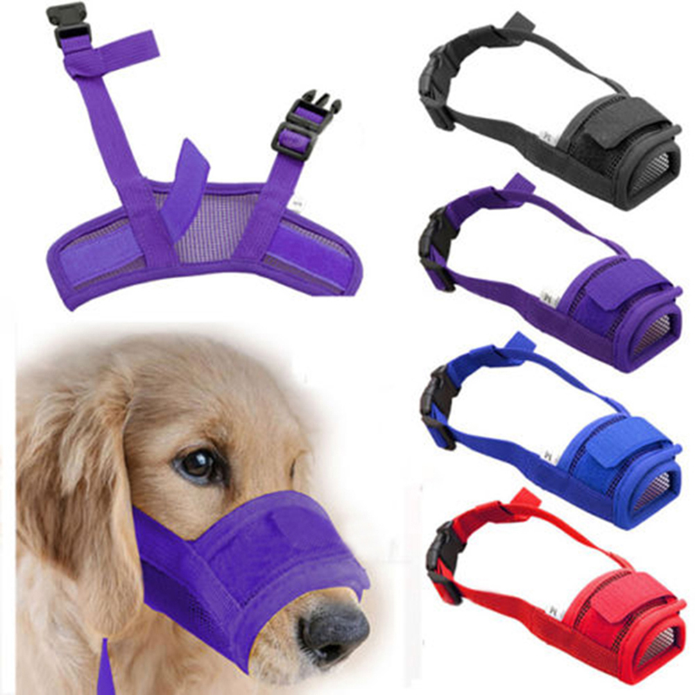 dog mask online