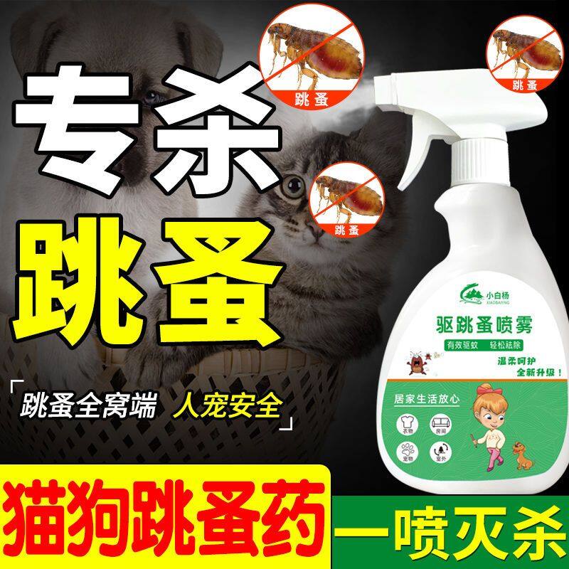 Giường ngủ gia đình người dùng thuốc diệt chó và mèo thú cưng để diệt bọ chét, chấy, ve, thuốc đuổi
