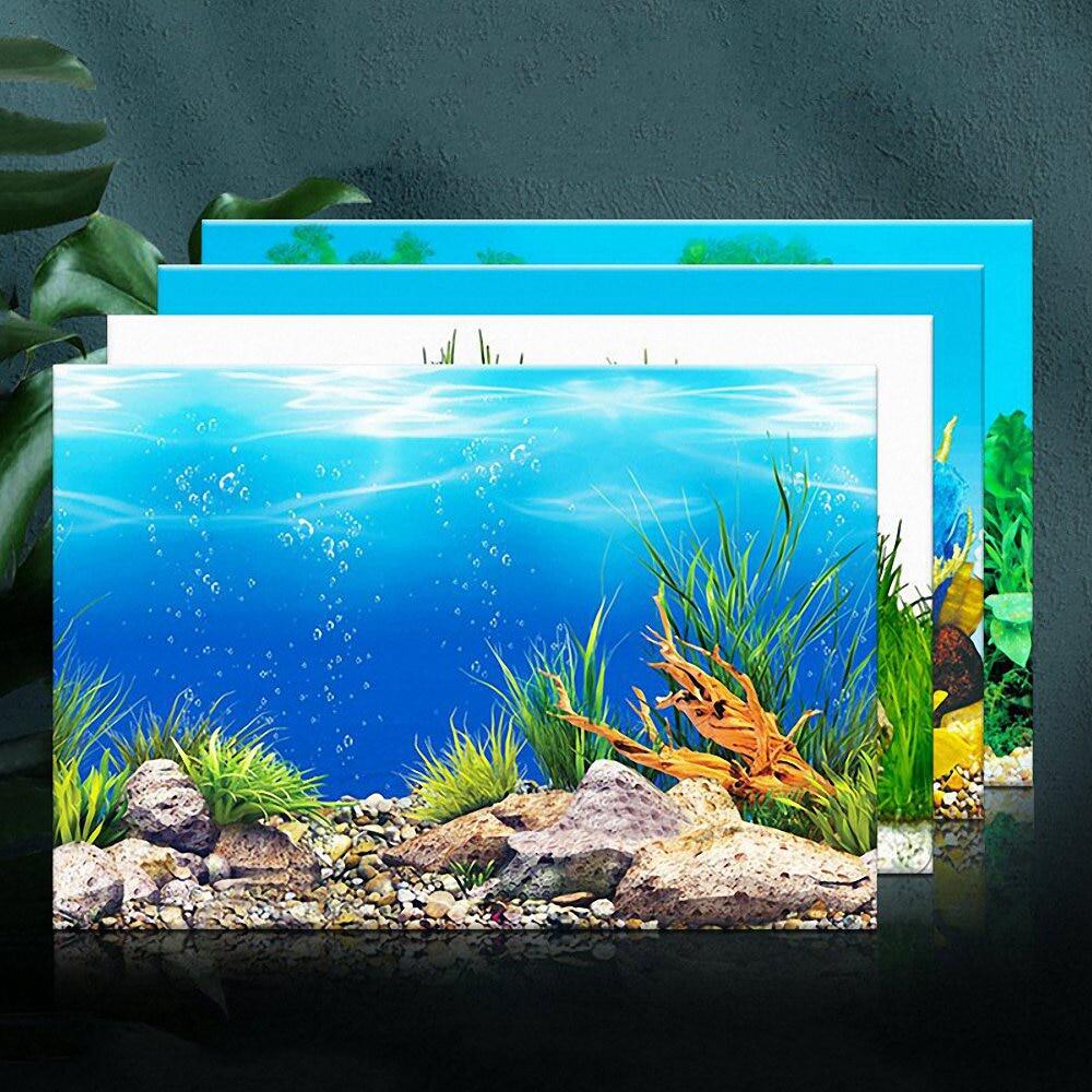 Hai mặt cảnh quan bể thủy sinh Áp phích dán bể cá 3D thực vật Biển Đại