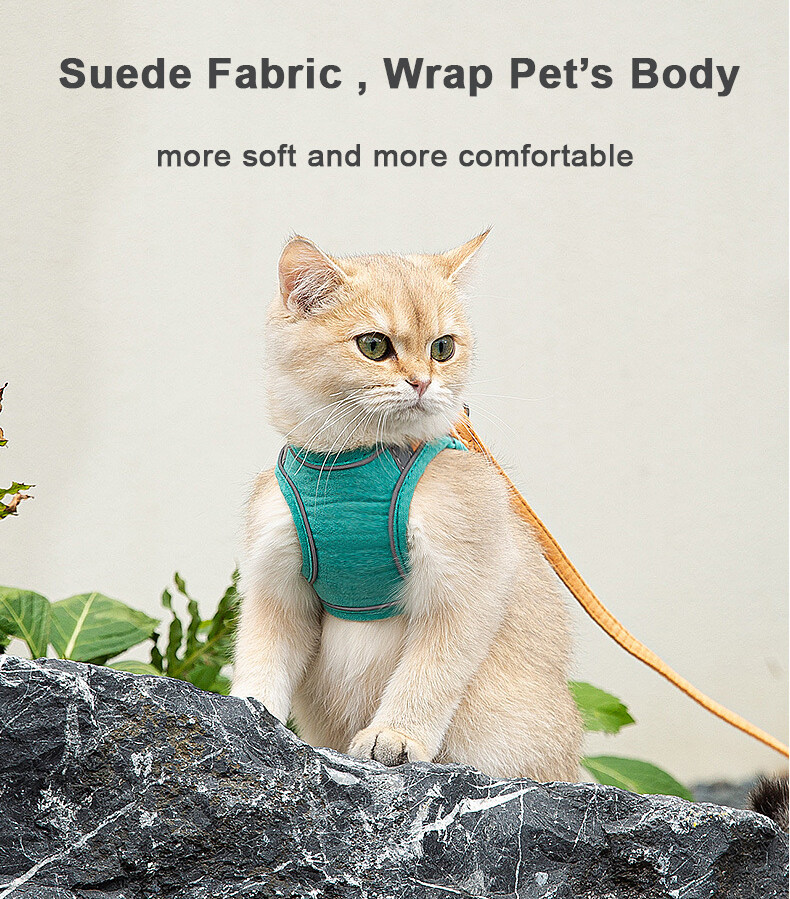 petlifeland áo dây xích thú cưng phản quang bằng da lộn mới, dây nịt ngực với vòng cổ dây kéo 1.5m cho chó mèo phụ kiện 5