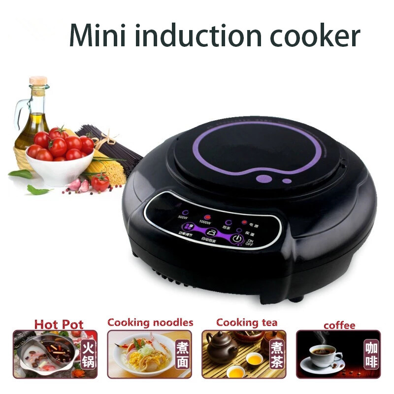 mini induction hot plate