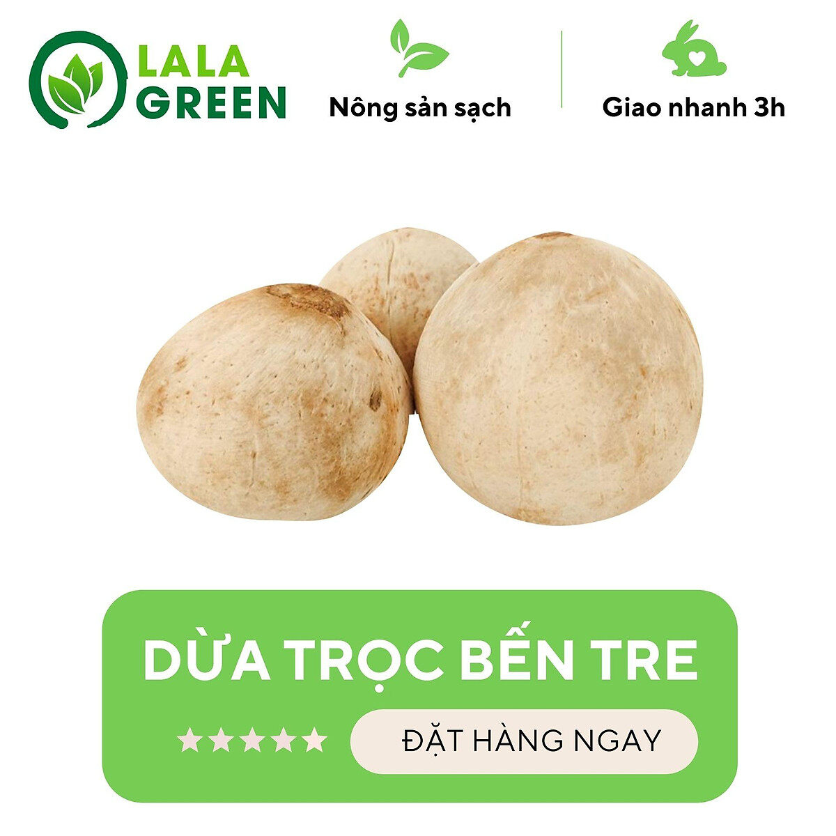 [Chỉ Giao Hcm] Dừa Bến Tre Cạo Trọc (Tươi/Sạch) - Size Trung - 1 Trái