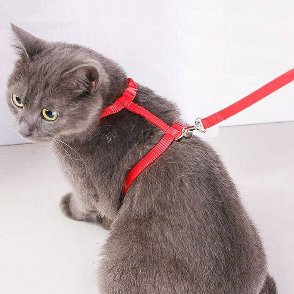 Dangstora dây đeo nylon Dây đồ dùng cho chó mềm chó nhỏ mèo ngoài trời cổ