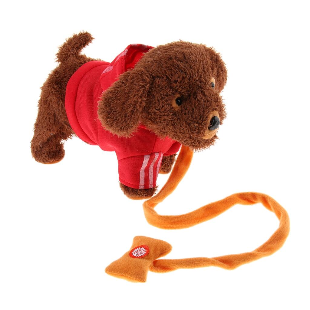 dog toy leash