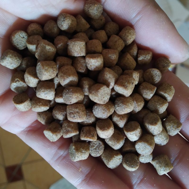 1kg Cám cá American feeds, siêu đạm dành cho cá Koi, cá vàng