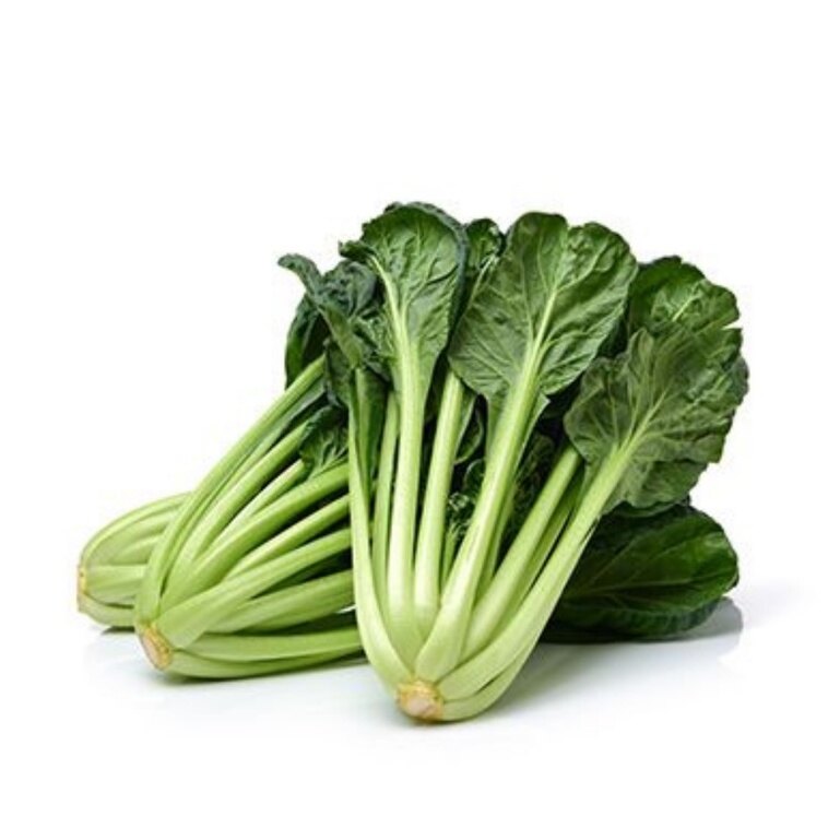 Hạt giống cải hoa hồng chịu nhiệt trồng quanh năm gói 5gram