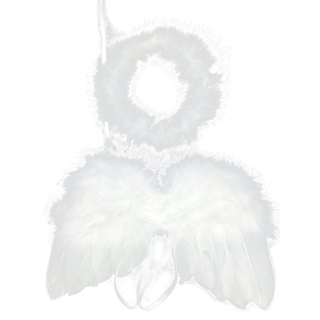 2 Pcs Set Baby White Angel Wing Headband Newborn Photography Props Angel