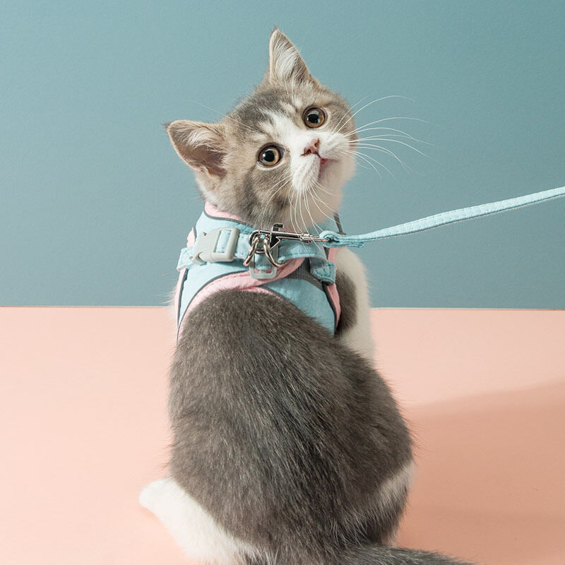 petlifeland áo dây xích thú cưng phản quang bằng da lộn mới, dây nịt ngực với vòng cổ dây kéo 1.5m cho chó mèo phụ kiện 11