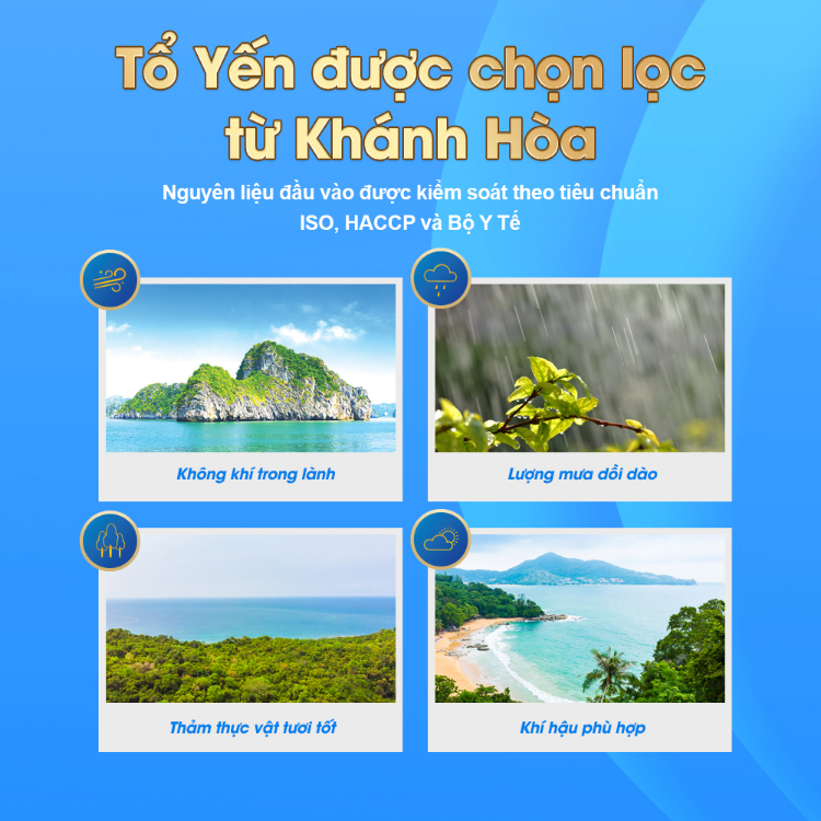 Nước Yến Sào 15% Chưng Đường Phèn Bổ Sung Vitamin K2 Khánh Hòa Nutrition (Hộp 6 lọ x 125ml ) - Thực Phẩm Dinh Dưỡng