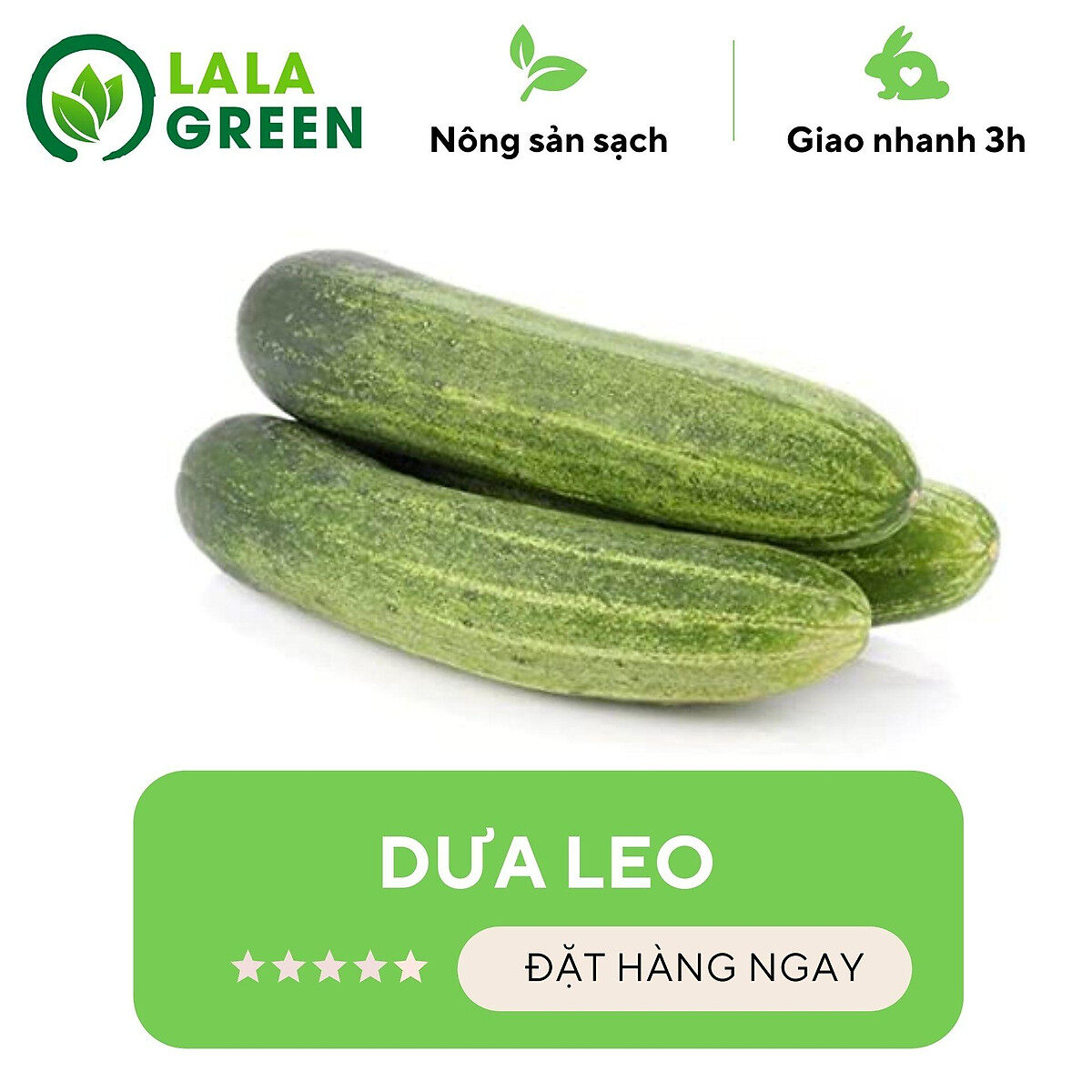[Chỉ Giao Hcm] DưA Leo (Vietgap/Sạch) - 1Kg