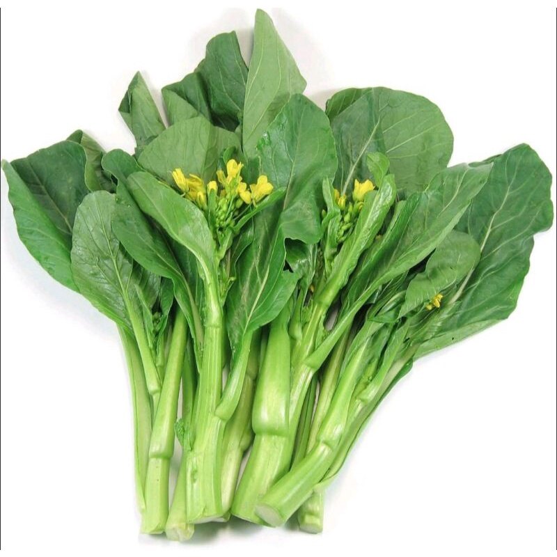 Gói 20g hạt giống rau cải ngồng