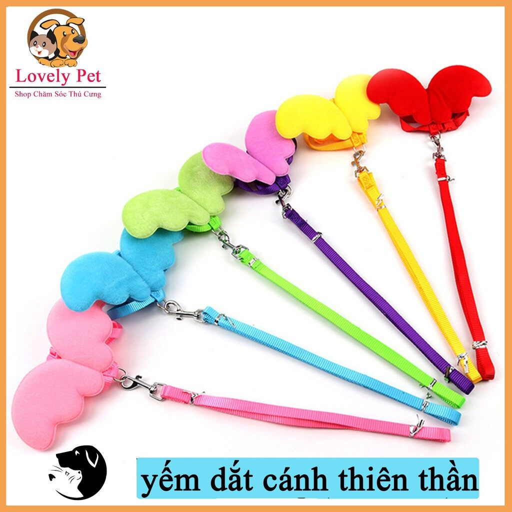 Dây dắt yếm cánh thiên thần cho chó mèo.