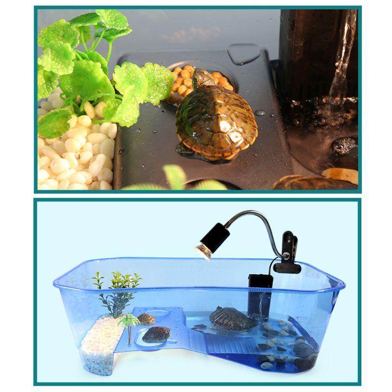 Bò Sát Vivarium Box Rùa Rùa Với Basking Ramp Bể Cá Công Cụ Chăn Nuôi Thực Phẩm