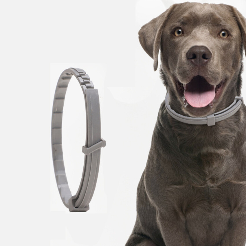 Cat Dog Collar Anti Flea Ticks Mosquitoes Outdoor Adjustable Pet Collars Protection Pet Accesseries
